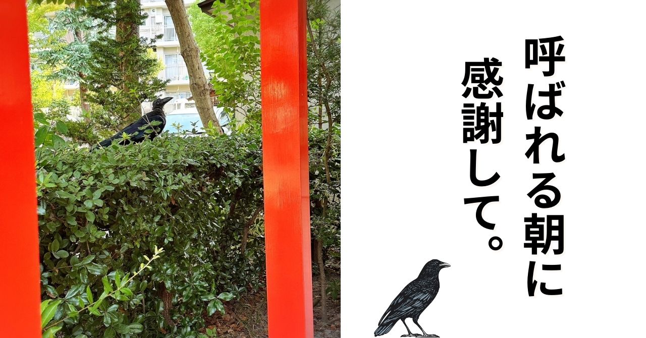 呼ばれる朝